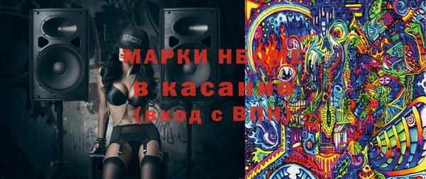 сатива Кулебаки