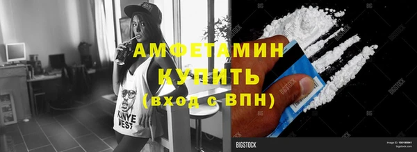 сатива Кулебаки