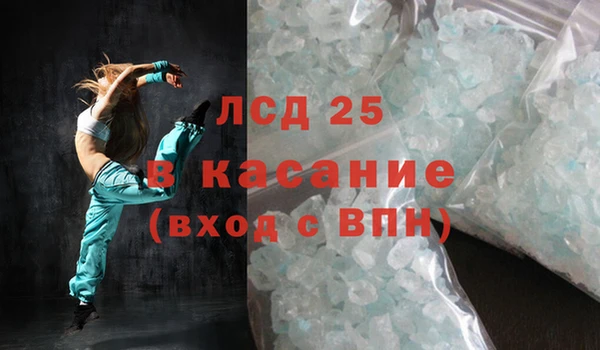 сатива Кулебаки