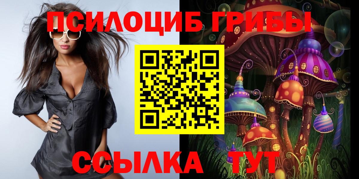 Псилоцибиновые грибы GOLDEN TEACHER Новочебоксарск