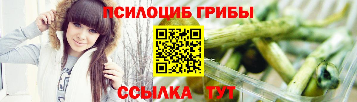 Новочебоксарск  Галлюциногенные грибы Psilocybe  Вход с VPN 